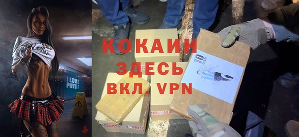 хмурый Верея