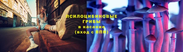 хмурый Верея