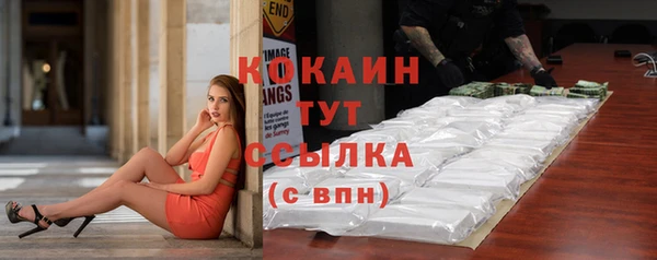 хмурый Верея