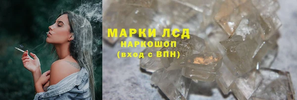 хмурый Верея