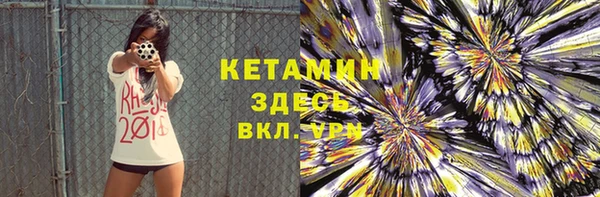 хмурый Верея