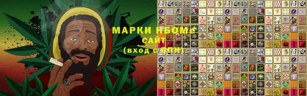 хмурый Верея