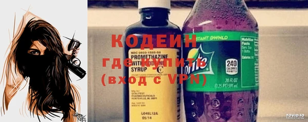 хмурый Верея