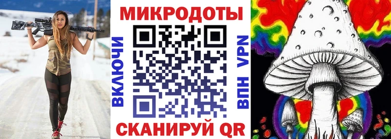 где купить наркоту  Артём  omg ссылки  Галлюциногенные грибы Psilocybe 